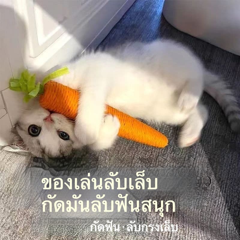 ของเล่นแมว แครอทมีเสียงกระดิ่ง ไม้ตกแมว ของเล่นแก้เบื่อ สำหรับลูกแมว กัดเล่น ขัดฟัน ลับเล็บได้